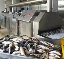 液氮速凍機(jī)—應(yīng)用于水產(chǎn)市場